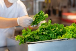 Food Safety: The Summer of Cyclospora