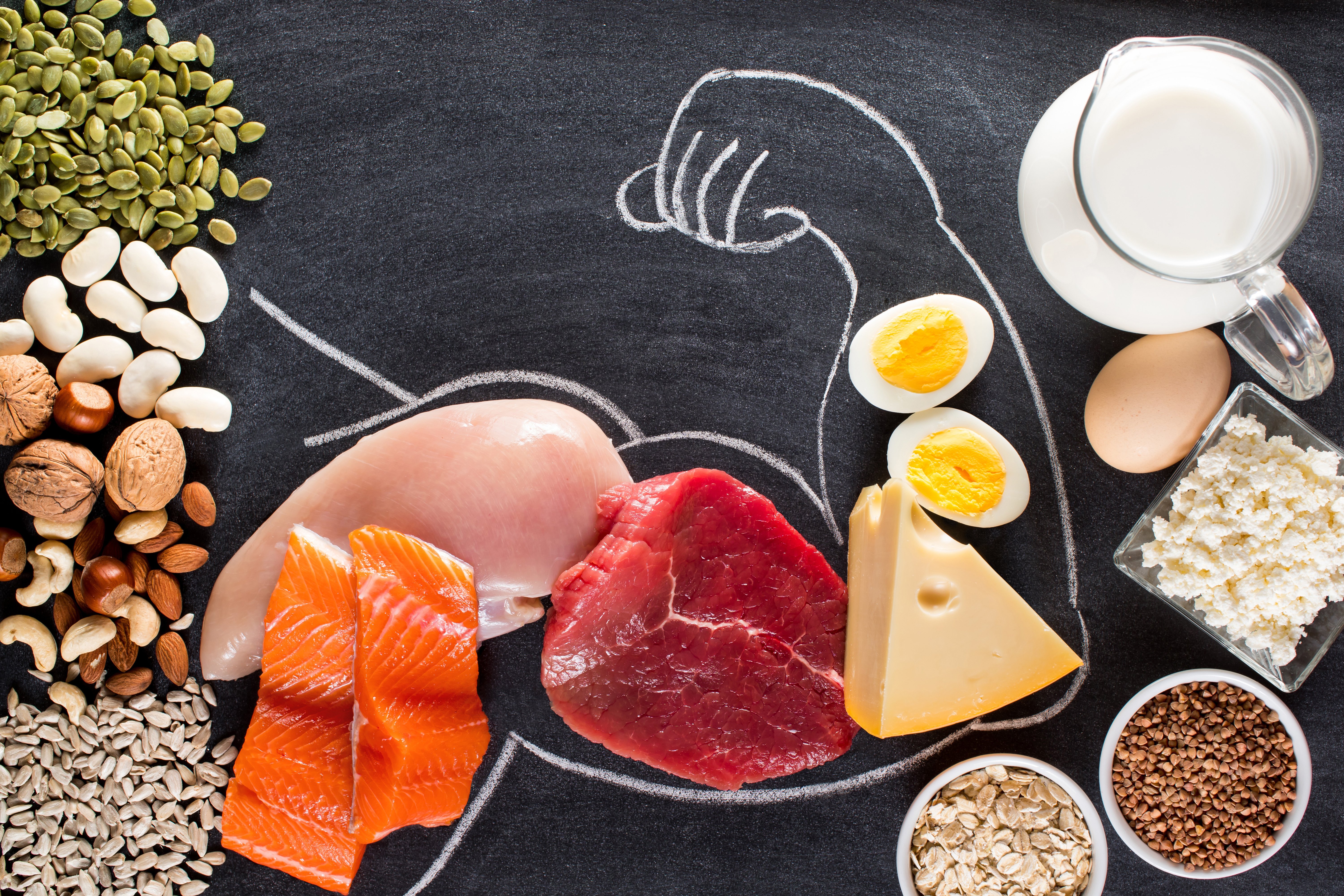 Animal and vegetable proteins are shown on a blackboard, with a muscular arm drawn around them in chalk. 