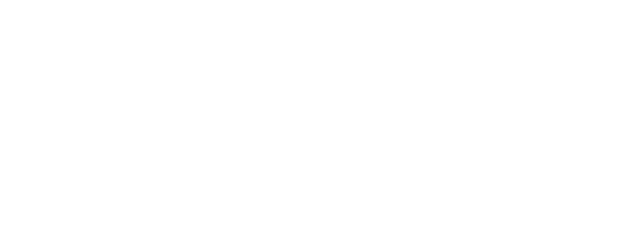 libro white logo